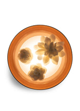 Bouquet Wall Sconce (US)